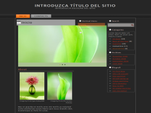 Diseño Páginas Web - Alicante Total